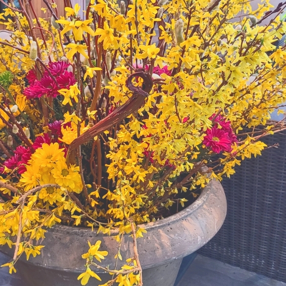 Meet your Posher, Michele - Picture 2 of 2